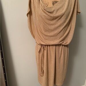 Nine & Co. Tan Dolman Sleeve Mini Dress